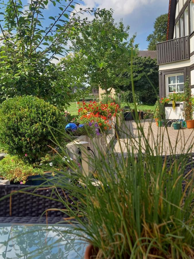 Landidylle Mit Garten, Whirlpool Und Klima Reken 外观 照片
