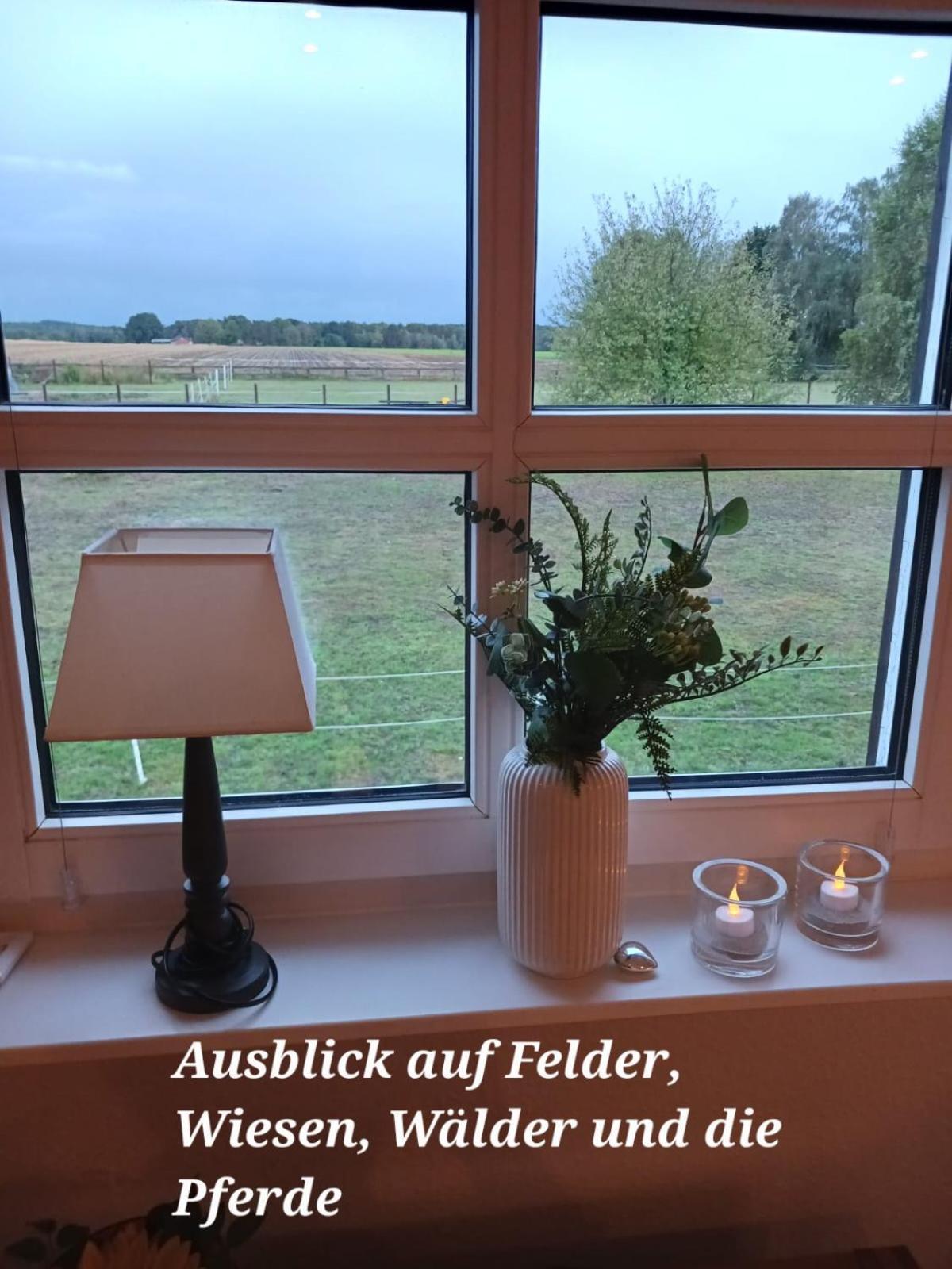 Landidylle Mit Garten, Whirlpool Und Klima Reken 外观 照片